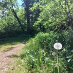 5 Tipps gegen Stress